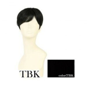 �v���V�� �j���p5���E�B�b�O �~�f�B�A���V���[�g �ϔM �u���b�N GB-24-TBK �� ���̖� �w�A�[ ���� ���e ������ �}�� | �֘A�P�� �����P�A �w�A�P�A�Z�b�g ���ێ��I�C�� ���p�u���V�Z�b�g ����