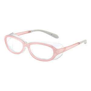 lC   ~ Ε Mtg NX}X v[g AXE AbNX ǂp ACLA EC-101J PK 21939