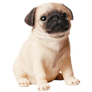 ɂ lC    ~ Ε Mtg NX}X v[g hbOI[ig pO 14074