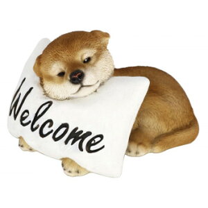 hbOI[ig Vo NbVWH 14248 Q zc xbh ~p ėp | ֘AP Hѕzc ȕzc @zc |Jo[ ~Jo[ xbhV[c ~zcV[c xbh}bg ~zc}bg 