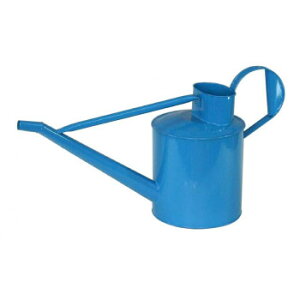 lC   ~ Ε Mtg NX}X v[g WE u[ 81595