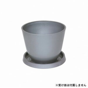 ɂ lC    ~ Ε Mtg NX}X v[g v^[ 86629