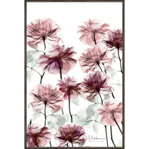 lC   ~ Ε Mtg NX}X v[g [p[ X RAY LoXA[gut[xbh(S)v XR-03822