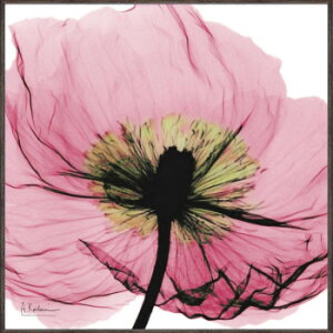 �ɂ� �l�C �������� ��� �������� �~ ���Ε� �M�t�g �N���X�}�X �v���[���g ���[�p���[ X RAY �L�����o�X�A�[�g�u�s���N�|�s�[(�X�N�G�AS)�v XR-05802