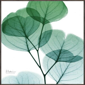 �ɂ� �l�C �������� ��� �������� �~ ���Ε� �M�t�g �N���X�}�X �v���[���g ���[�p���[ X RAY �L�����o�X�A�[�g�u���[�J�����C�g(�X�N�G�AS)�v XR-05803