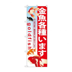 ̂ڂ GNB-581 e킢܂ X pi H | ֘AP HXObY e[u}bg VK[|bg X܏Y AR[Xv[ I[_[p J[h 蔢 R[X^[ ĝėe