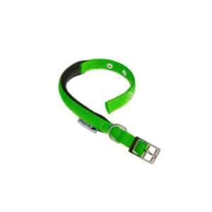 t@[vXg fCgi DAYTONA C 25/45 O[   37`45cm@75248923 ybg  L Lbg hbN | ֘AP Lbg^[ lC    Mы ACfBA ֗ ACf