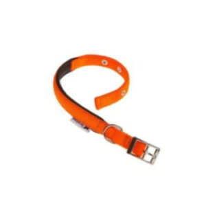 t@[vXg fCgi DAYTONA C 25/53 IW   4553cm@75249939 ybg  L Lbg hbN | ֘AP Q[W V[c LgC  p ʔ Ϗ ANAE A