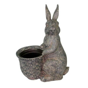 ɂ lC    ~ Ε Mtg NX}X v[g Aj}v^[ Ȃ 80423