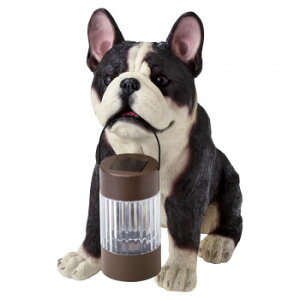 lC   ~ Ε Mtg NX}X v[g ZgNtg \[[I[ig t`uhbO SR-0891