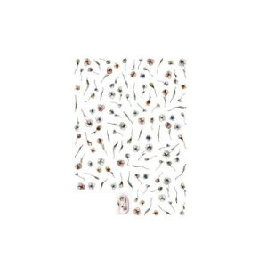 TSUMEKIRA(cL) lCV[@tati vf[X6 Flora (X[L[) NN-TAT-109 N e  | ֘AP Gv C ֎q Xbp pW}  ^ RX N[ nuV q 