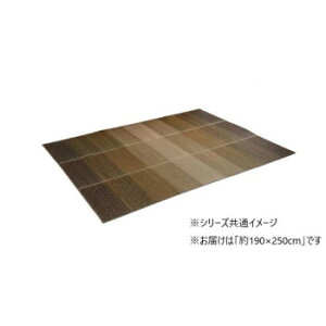 J[ybg { KOBA-GUARD RۖhL 190×250cm uE 1070480064203 CeA | ֘AP G l炵 ؐ Vv ϗtA O \t@ k e[u `FA Ǌ| Xc[ ؍ 