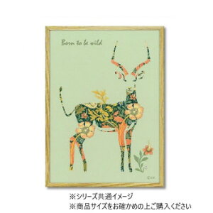 lC   ~ Ε Mtg NX}X v[g Aj}VGbg A[guCfBA[v STCY YP-02411