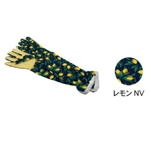 ɂ lC    ~ Ε Mtg NX}X v[g }`O[u NV 400893902