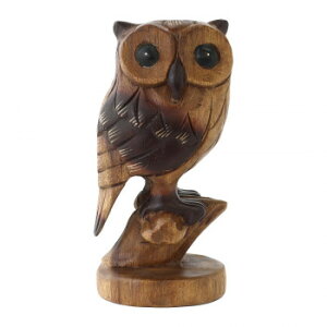 ؒ ؏tNE M 10722800558