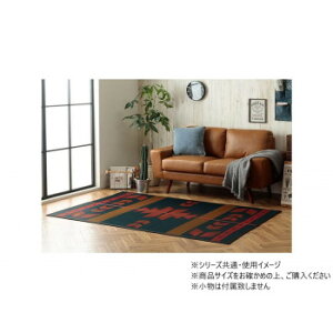 O J[ybg DXXg[[ 140×200cm RE 1051770242303 CeA | ֘AP ʉ Ǌ| v O \t@ I Vv k J[e e[u ؐ i` `FA t@ubN 