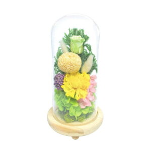 lC   ~ Ε Mtg NX}X v[g KXh[AWg H(͂) C20030L