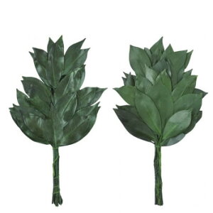 lC   ~ Ε Mtg NX}X v[g vU[uh (25cm) RpNg SC-80856