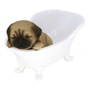 lC   ~ Ε Mtg NX}X v[g hbOI[ig pO oX^u 14241