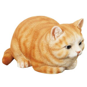 lC   ~ Ε Mtg NX}X v[g LbgI[ig LeB 14221