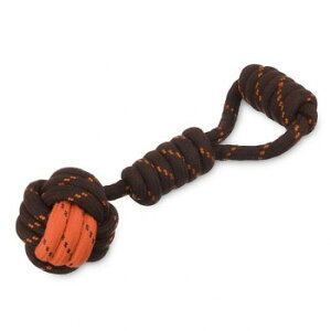 lC   ~ Ε Mtg NX}X v[g P.L.A.Y. [vgC S ^O{[