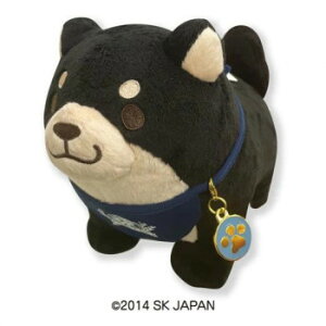 ΂ʂS(`[E) ʂ LN^[ ܂ Aj | ֘AP  LbY q j̎q ̎q ۈ牀 ct w Ԃ xr[ oYj a 