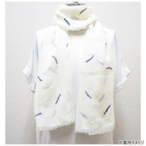 ɂ lC    ~ Ε Mtg NX}X v[g tYq@Xg[@x_[Xeb`@AC{[KS-113-508