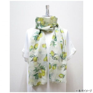 ɂ lC    ~ Ε Mtg NX}X v[g tYq@Xg[@VgjG@AC{[IS-112-508