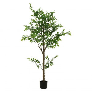 sfՁ@iC/D:41123j tFCNO[ tBJX 160cm WCg