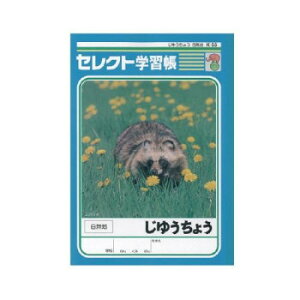 ^@B5wKK55䂤傤n@10Zbg K-55