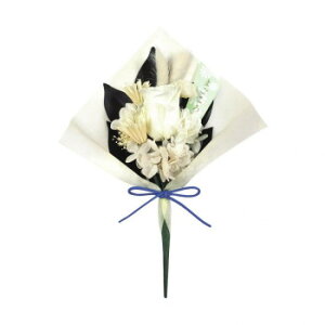 �ɂ� �l�C �������� ��� �~ �t �� �~ �V���� �M�t�g ���� �΍� �v���[���g �v���U�[�u�h���� ����䂫�@C21100