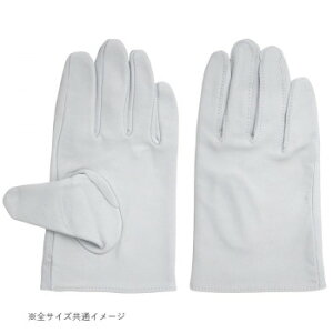 lC   ~ Ε Mtg NX}X v[g 쏤 G[X NXg Xg[g^Cv LTCY AG430