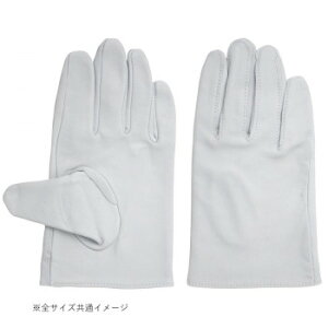 ɂ lC    ~ Ε Mtg NX}X v[g 쏤 G[X NXg Xg[g^Cv MTCY AG430