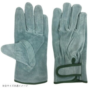 lC   ~ Ε Mtg NX}X v[g 쏤 G[X v ICH }WbNe[v  LTCY AG445