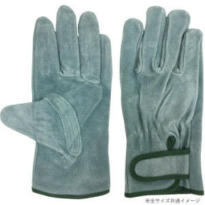 쏤 G[X v ICH }WbNe[v  MTCY AG445