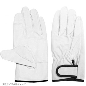 쏤 G[X ؃NXg }WbNe[v Aet 3og LTCY AG527-3P