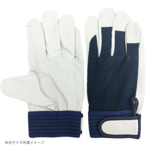 쏤 G[X ؃NXg w }WbNe[v MTCY AG508