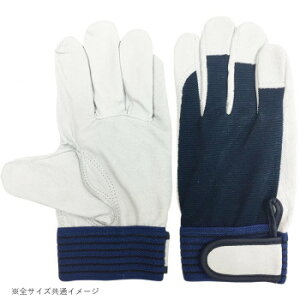 lC   ~ Ε Mtg NX}X v[g 쏤 G[X ؃NXg w }WbNe[v LTCY AG508