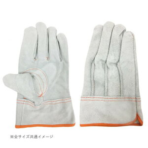 쏤 G[X v OD   MTCY AG4817