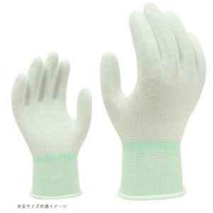 lC   ~ Ε Mtg NX}X v[g 쏤 G[X  zCg10og LTCY AG790