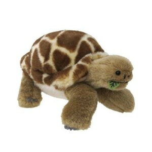 g@肭̂Ȃ܂@ʂ݁@S@NK@180252 ʂ LN^[ ܂ Aj | ֘AP  LbY q j̎q ̎q ۈ牀 ct w Ԃ xr[ o