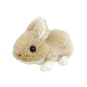 g@肭̂Ȃ܂@ʂ݁@ETM@x[W@180503 ʂ LN^[ ܂ Aj | ֘AP NbV t@V[G QAW CeAf GݍD 