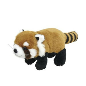 g@肭̂Ȃ܂@ʂ݁@bT[p_@180521 ʂ LN^[ ܂ Aj | ֘AP NbV t@V[G QAW CeAf GݍD 