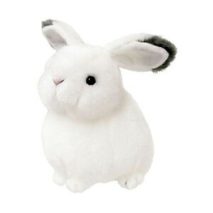 g@肭̂Ȃ܂@ʂ݁@ETM@180817 ʂ LN^[ ܂ Aj | ֘AP wăNbV ԗp ItBX fXNNbV Q ItBXObY