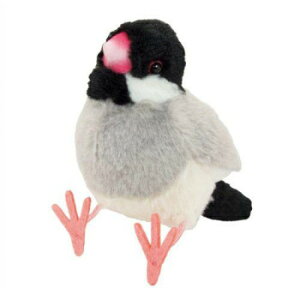 g@Ƃ̂ˁ@ʂ݁@@180093 ʂ LN^[ ܂ Aj | ֘AP NbV t@V[G QAW CeAf GݍD ӂNbV