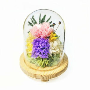 ɂ lC    ~ Ε Mtg NX}X v[g p()@KXh[AWg@vU[uht[@H(킩)@p[v@C37260