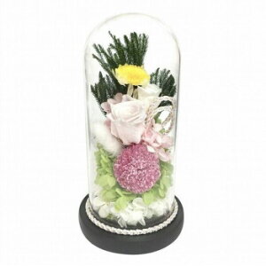 ɂ lC    ~ Ε Mtg NX}X v[g p()@KXh[AWg@vU[uht[@@C35320