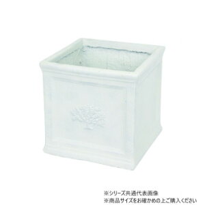 ɂ lC    ~ Ε Mtg NX}X v[g cY XNGA|bgtHXg 8 White 3735