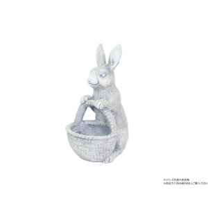 cY rbgt[oXPbg 3257 Ƌ [ bN | ֘AP X`[bN ǖʎ[ Ԏ[ pg[bN t[ er{[h {I o[ Lrlbg n