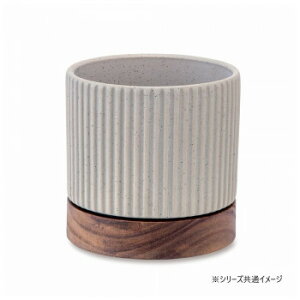 �ɂ� �l�C �������� ��� �������� �~ ���Ε� �M�t�g �N���X�}�X �v���[���g �^�C�f�B�|�b�g �O���[ 30770